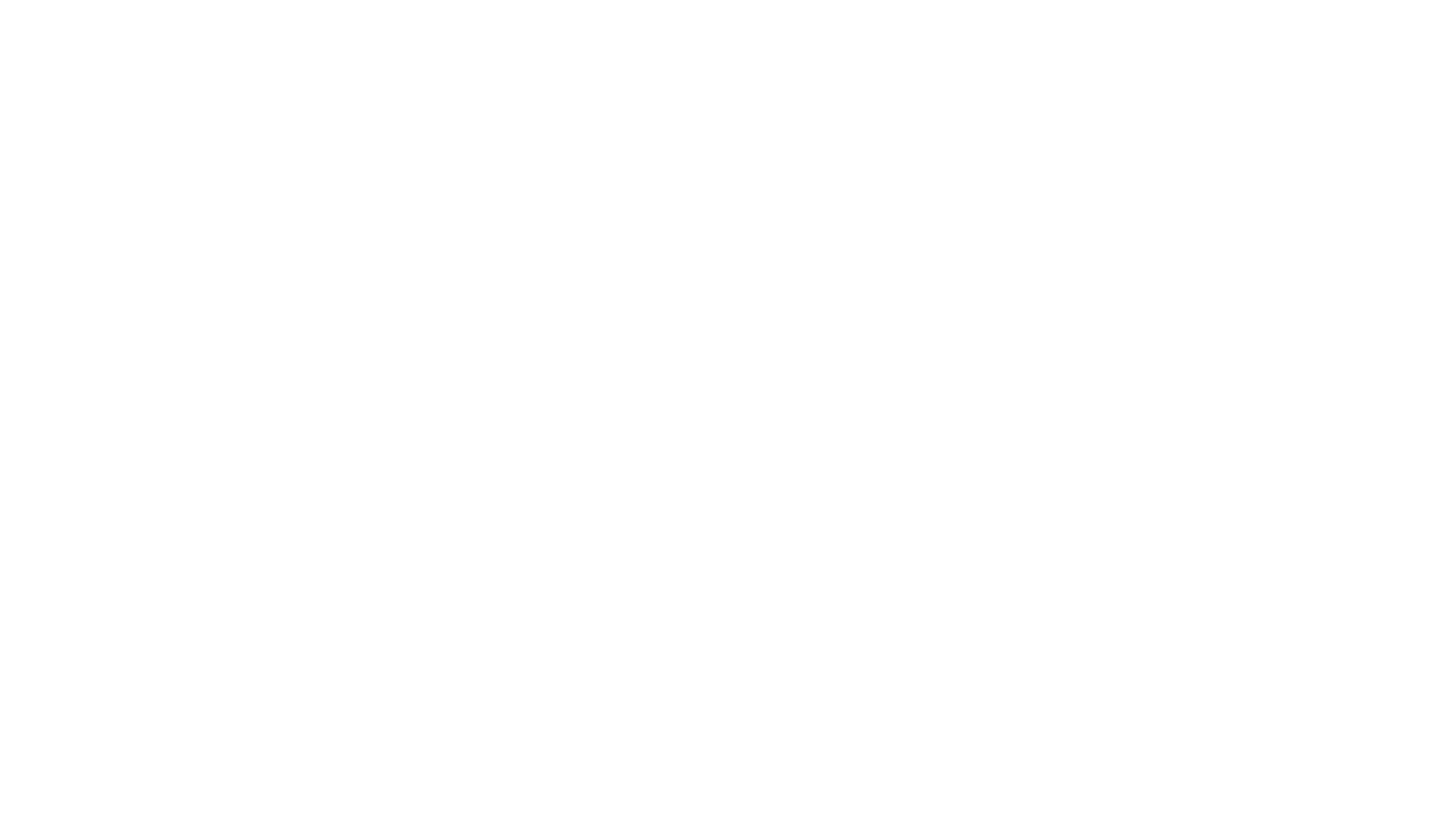 Caiman Logo