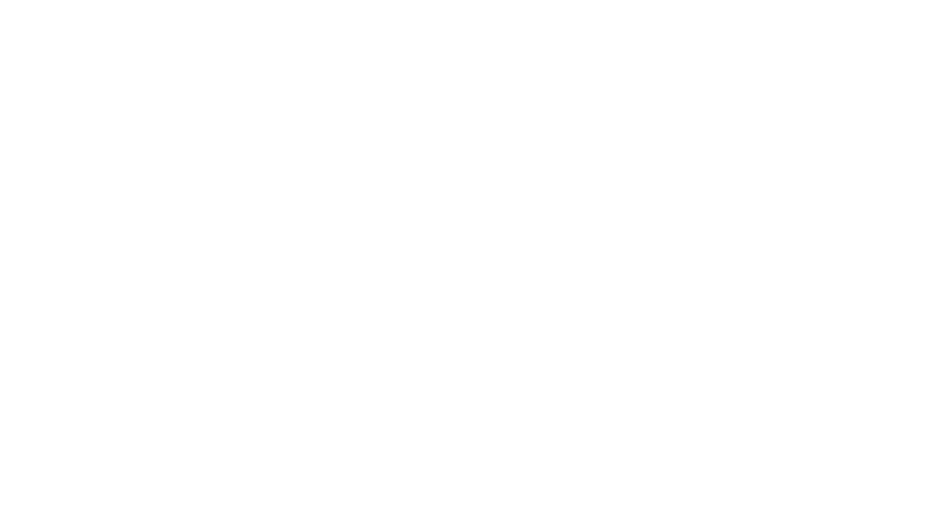 Werner Logo